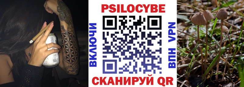 Галлюциногенные грибы прущие грибы  где купить наркоту  Кисловодск 